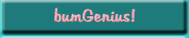 bumGenius!